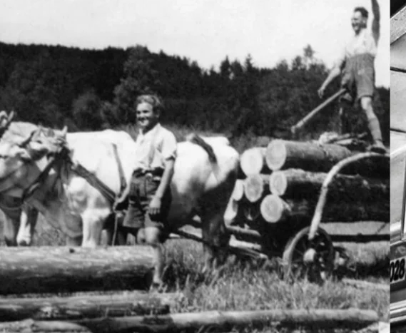 A farmer working the land with a horse-drawn plough